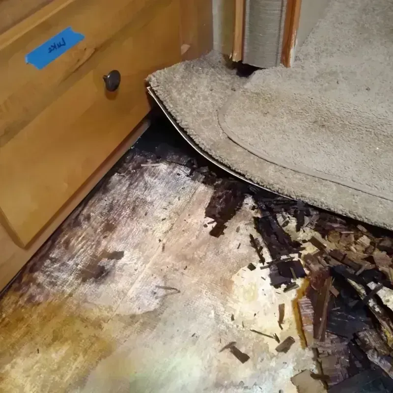 Wood Floor Water Damage in Kirkwood, MO